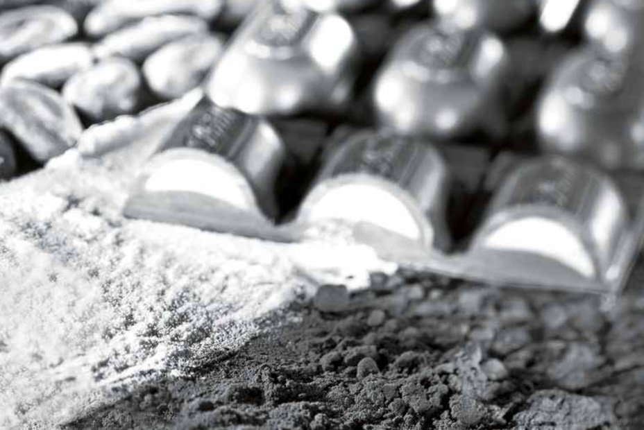 Food Processing Components